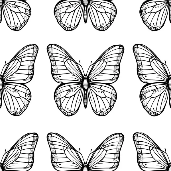 siyah kelebek, beyaz izole