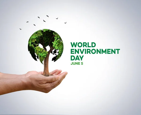 プラスチック汚染を倒す 世界環境デーのコンセプトデザイン ハッピー環境デー6月5日 環境デーの背景イラストで世界地図 — ストック写真