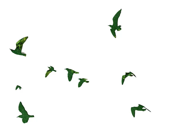 Many Green birds flying on sky isolated on white background.