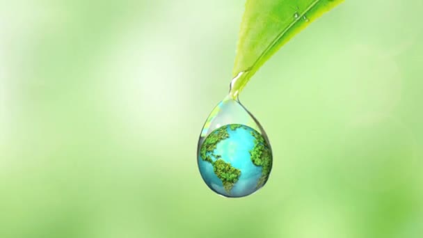 Концепция Всемирного Дня Воды Каждая Капля Имеет Значение Экономия Воды — стоковое видео