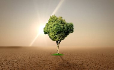 Dünya Çevre Günü 2024 konsepti - arazi restorasyonu, çölleşme ve kuraklık dayanıklılığı, 3 boyutlu ağaç geçmişi. Ekoloji konsepti. Biz # Nesil Yenilemesiyiz