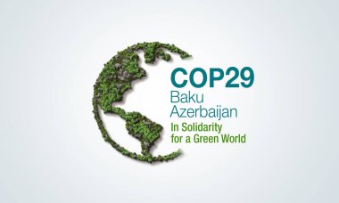 Birleşmiş Milletler İklim Değişikliği Konferansı COP29 Bakü, Azerbaycan. Yeşil Dünya İçin Dayanışma içinde