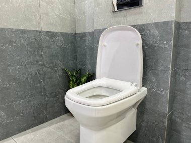 Modern tuvaletin içinde seramik klozet ya da tuvalet var..