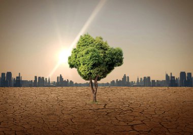 Küresel Isınma ve İklim Değişikliği Arkaplanı. Dünya Çevre Günü konsepti. Kuru bir arazide bir ağaç.