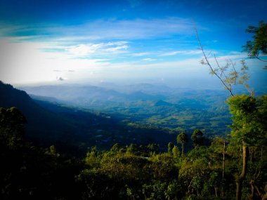 geniş görüntü yeşil çim alan ve parlak mavi gökyüzü