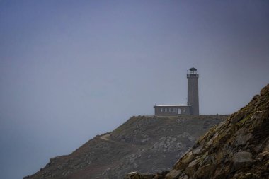 Le becasseau değişken dans l 'estran