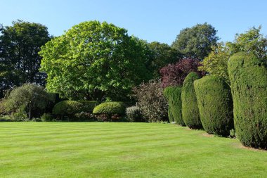 Huzurlu İngiliz Peyzaj Bahçesi
