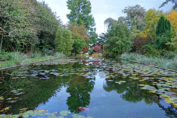 Scenic View Pond Beautiful Garden — Stock Photo, Image