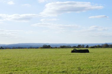 Kırsalda büyük yeşil bir alan.