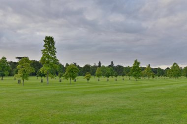 Yeşil bir tarlanın manzarası ve güzel bir kasaba parkındaki ağaçlar.