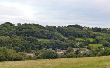 Vadide evleri ve ağaçları olan yeşil bir arazinin manzarası.