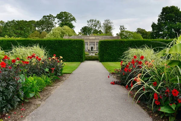 Schöner Garten Mit Blumen Park — Stockfoto