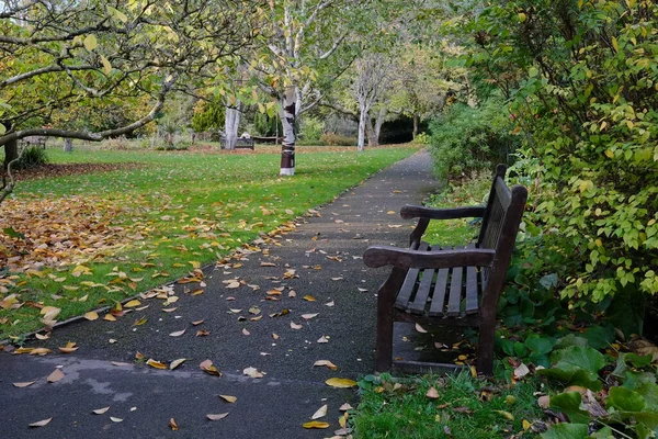 Осенний Парк Городе — стоковое фото