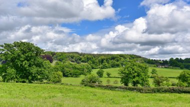 Geniş yeşil tarlası olan güzel bir manzara.