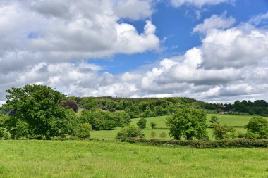 Mavi gökyüzü ve bulutlu yeşil çayır