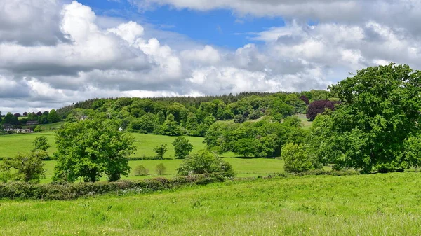 stock image beautiful landscape with a large green field