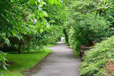 Şehirdeki sonbahar parkı