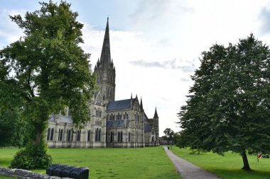 Ağaçlar arasında bir kilise kulesi görülür - yani Wiltshire İngiltere 'deki Salisbury Katedrali' nin tarihi 123 metre kulesi.