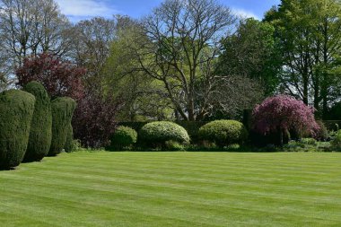 view of a Beautiful English Style Park with Green Plants
