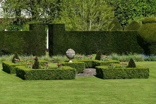 View Beautiful English Style Park Green Plants — Stock Photo, Image