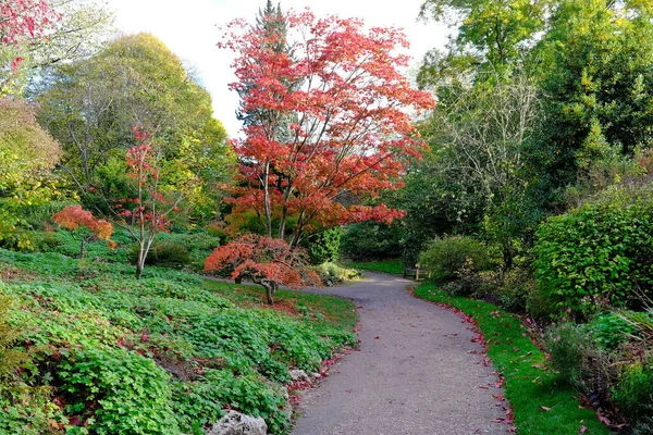 Красивый Осенний Парк Городе — стоковое фото