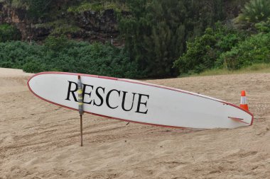 Sahildeki sörf tahtasının dikey görüntüsü.