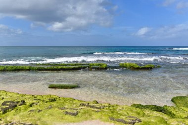 Deniz kıyısının güzel manzarası