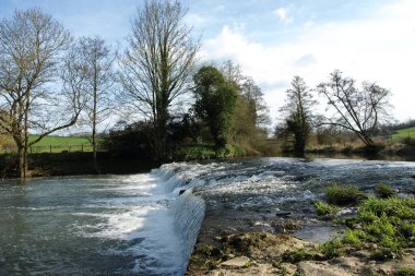 Ormandaki nehrin güzel manzarası