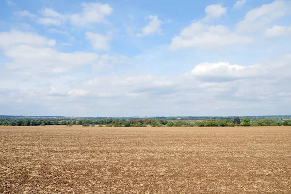 View Field Wheat Countryside — Stock Photo, Image