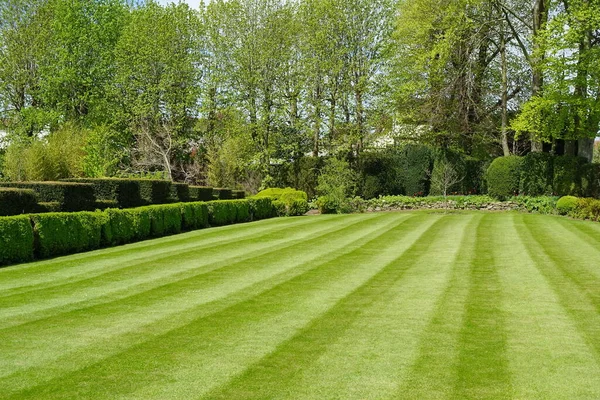 Vue Panoramique Beau Jardin Paysager Style Anglais Avec Une Pelouse — Photo
