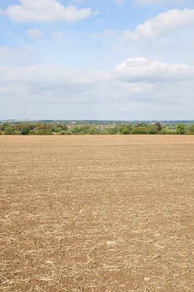 Agricultural Field Fields Countryside — Stock Photo, Image