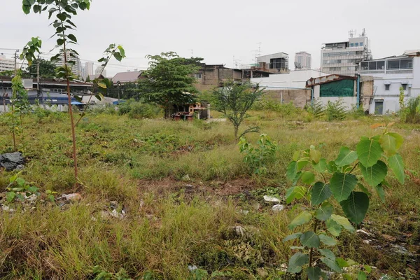 Zona Pobre Ciudad Malasia — Foto de Stock