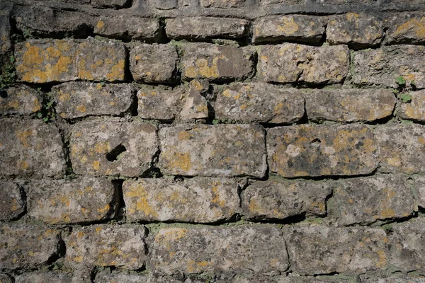 Vieux Mur Briques Texture Fond — Photo