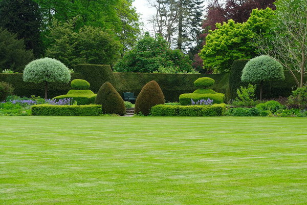 a beautiful view of green garden with trees in a lush pond.