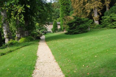 Yazın güzel bir park.