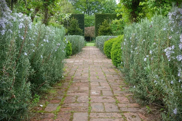 Schöner Garten Mit Grünem Gras — Stockfoto