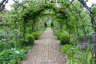 Parkta çiçekli güzel bir bahçe.