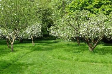 Doğanın güzel manzarası 