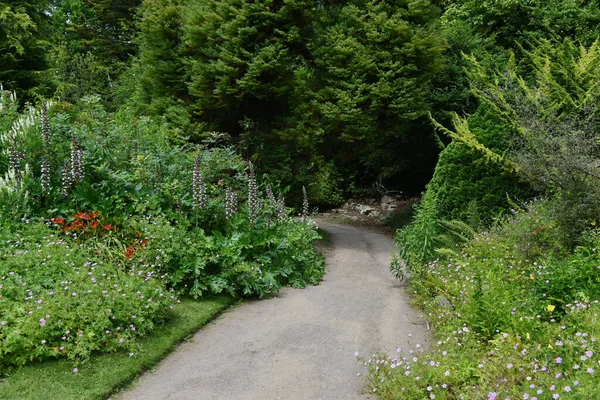 Malowniczy Widok Ścieżkę Pięknym Ogrodzie Parku Zielonymi Roślinami Liściastymi Kolorowymi — Zdjęcie stockowe