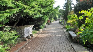 Doğadaki güzel park 
