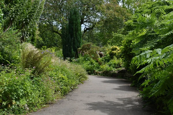 Живописный Вид Тропу Красивом Саду Парка Зелеными Листовыми Растениями Красочными — стоковое фото