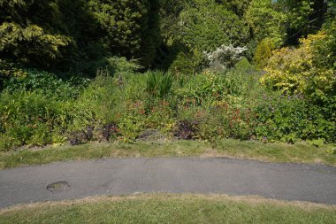 Yeşil yapraklı bitkiler ve renkli çiçeklerle güzel bir park bahçesinin manzarası.