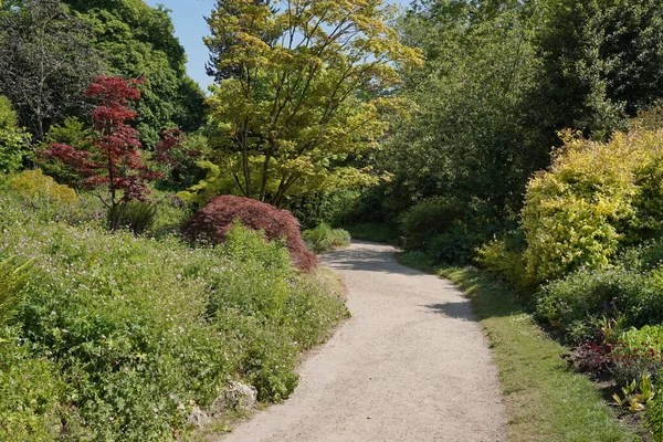 Живописный Вид Тропу Красивом Саду Парка Зелеными Листовыми Растениями Красочными — стоковое фото