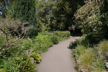Yeşil yapraklı bitkiler ve renkli çiçeklerle güzel bir park bahçesinin manzarası.