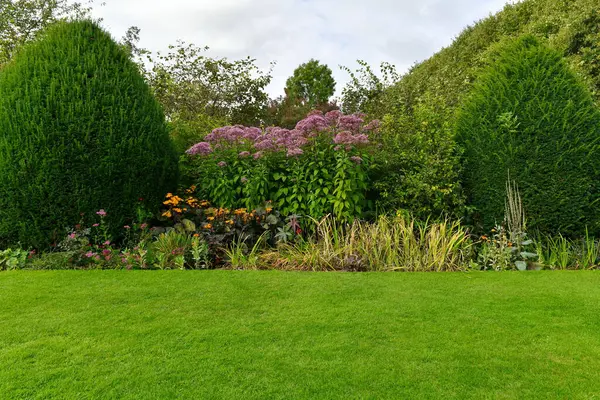 Vacker Trädgård Med Blommor Och Växter Bakgrunden — Stockfoto
