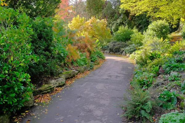 Szenische Ansicht Eines Begrünten Weges Einem Schönen Herbstlichen Parkgarten — Stockfoto