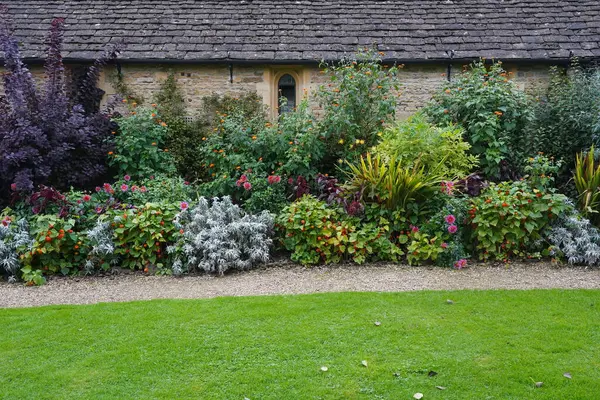 식물에 아름다운 스타일의 정원을 경로의 — 스톡 사진
