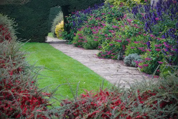 Scénický Letní Pohled Kamennou Dlážděnou Cestu Krásnou Zahradou Anglického Stylu — Stock fotografie