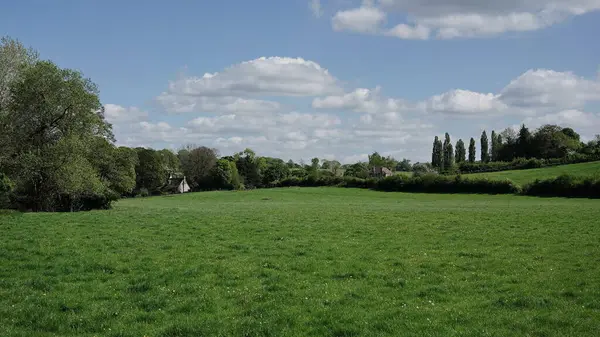 Scenic Landscape View Open Spacious Lush Green Farm Field Clear — Stock Photo, Image