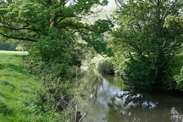 Γραφική Άποψη Ενός Ποταμού Στην Ύπαιθρο Δηλαδή Του Ποταμού Frome — Φωτογραφία Αρχείου